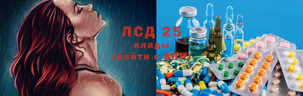 ECSTASY Белокуриха