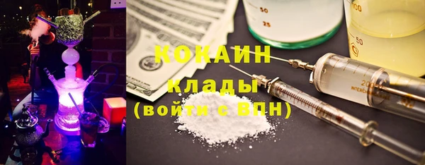 ECSTASY Белокуриха