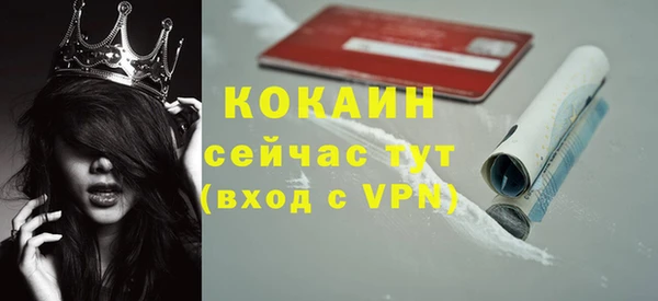 твердый Белоозёрский