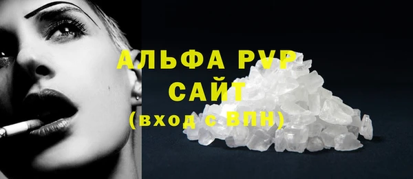 ECSTASY Белокуриха