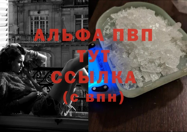 ECSTASY Белокуриха