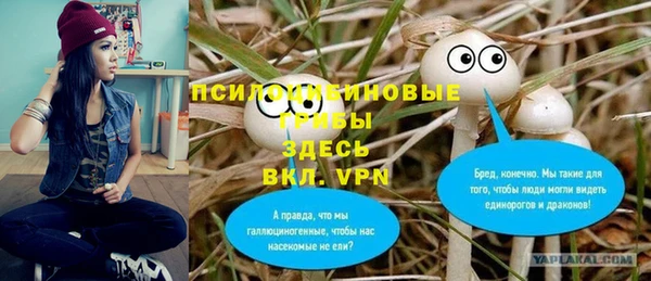 твердый Белоозёрский